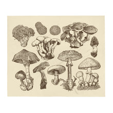 Load image into Gallery viewer, Vintage Wild Mushrooms Throw Blanket 50" x 60"